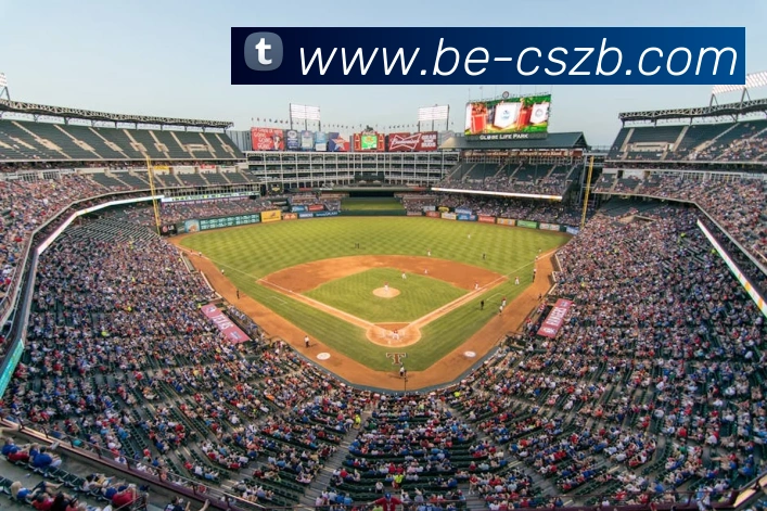 彩神争霸服务体系